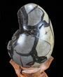 Septarian Dragon Egg Geode - Black Crystals #72061-2
